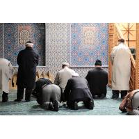 2302 Gebet Harburger Moschee  Fotos  Gebetsraum | 